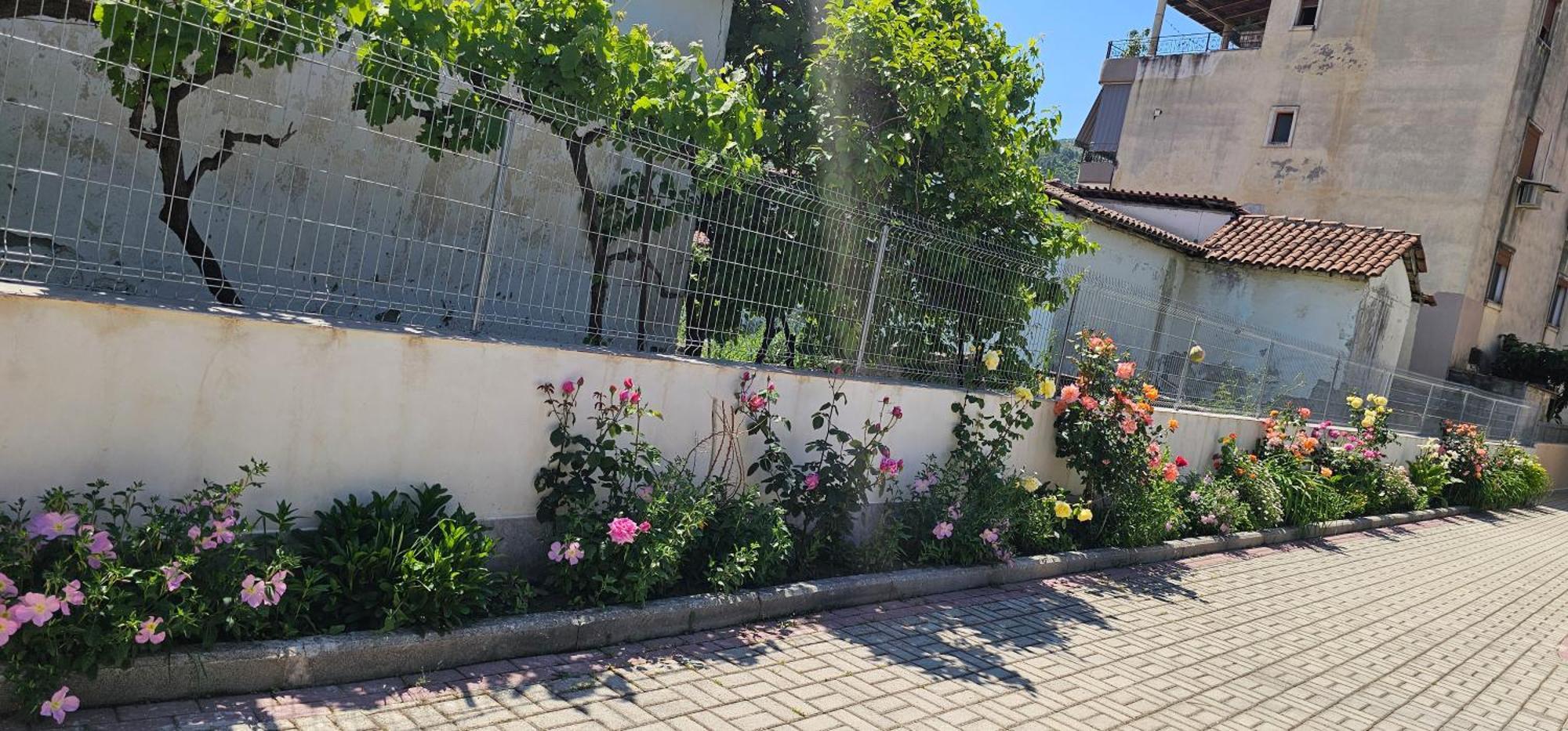 Aliaj Guest House Berat Exteriör bild